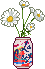 daisy in a La Croix can