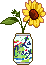 sunflower in a La Croix can