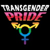 transgender pride!