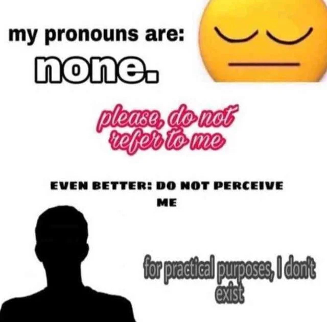 my pronouns are: none. please do not refer to me. even better: do not perceive me. for practical purposes, i don't exist