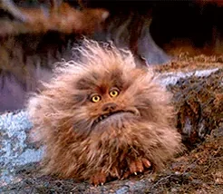 the hairy monster Fizzgig from the movie The Dark Crystal widens his eyes then opens his enormous toothy mouth to scream loudly