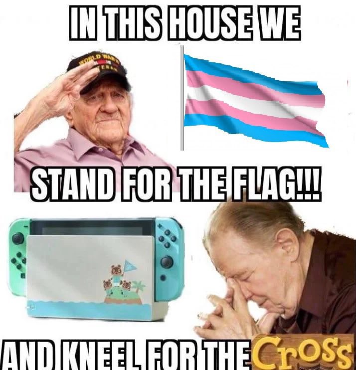 in this house we stand for the flag (picture of trans pride flag) and kneel for the cross (picture of a nintendo switch resting in an animal crossing themed dock)