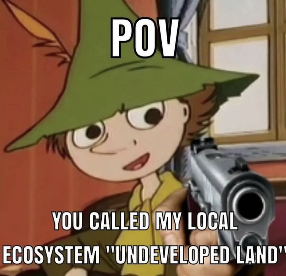 snufkin with a hand holding a gun pointed at the viewer pasted onto him with the text: POV: you called my local ecosystem 'undeveloped land'