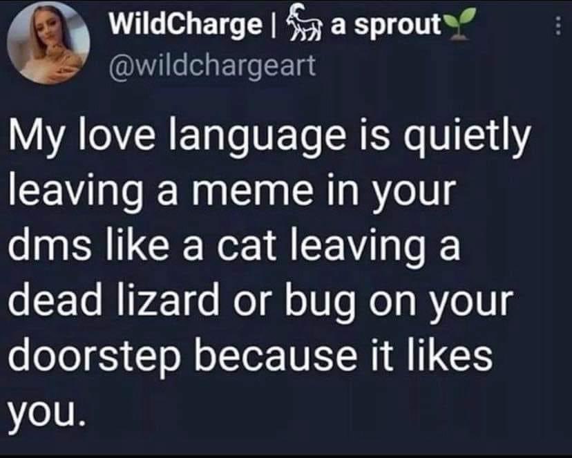 my love language is quietly leaving a meme in your dms like a cat leaving a dead lizard or bug on your doorstep because it likes you