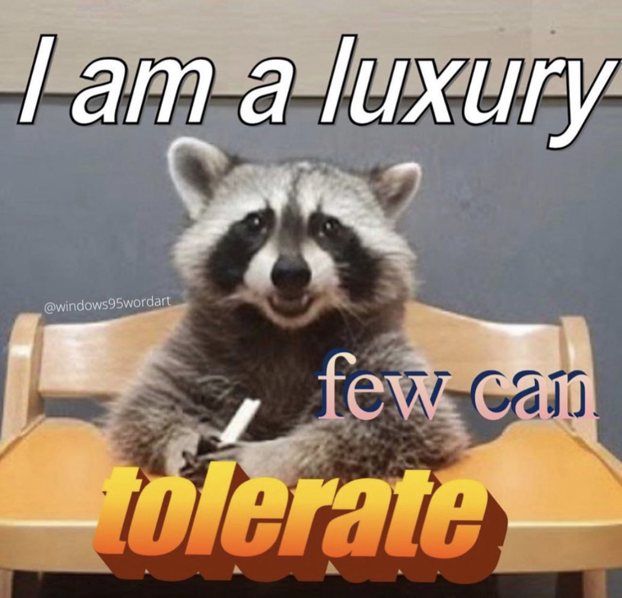 i'm a luxury few can tolerate