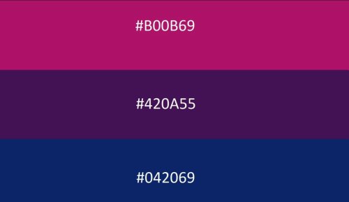 a 'new bisexual flag' with the hex color codes visible: B00B69, 420A55, 042069