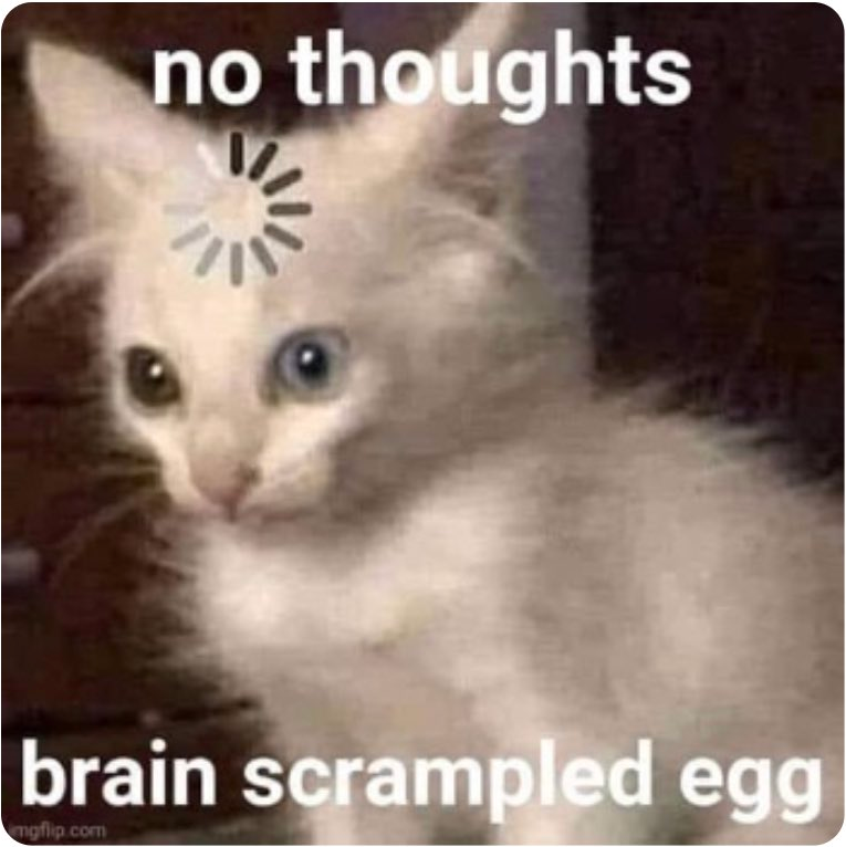 picture of a white kitten with wide eyes and a blank look on its face. on the kitten's forehead is a loading circle. white text over this picture reads: no thoughts... brain scrampled egg