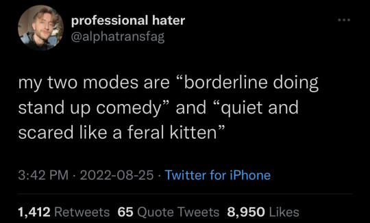 my two modes are 'borderline doing stand-up comedy' and 'quiet and scared like a feral kitten'