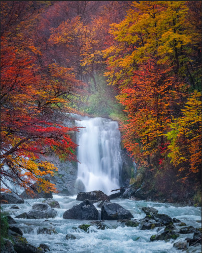 'autumn's colors' by greg boratyn. a photo of a waterfall and rushing, rocky river flowing towards the viewer framed by autumn foliage.