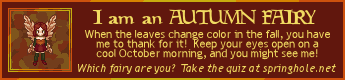 i'm an autumn fairy! when the leaves change color in the fall, you have me to thank for it! keep your eyes open on a cool october morning, and you might see me! which fairy are you? take the quiz at springhole.net