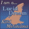 What kind of dream am I? a lucid dream! kind and meticulous
