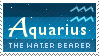 aquarius, the water bearer.