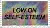 low on self-esteem